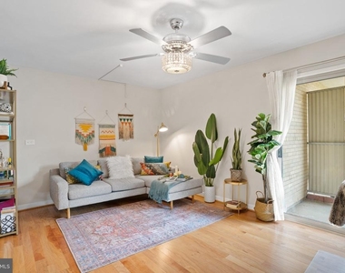 4600 Connecticut Avenue Nw - Photo Thumbnail 2
