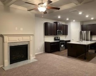 3326 Ivy Birch Way - Photo Thumbnail 28