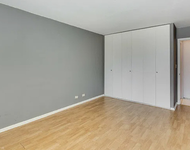 1360 N Sandburg Terrace - Photo Thumbnail 10