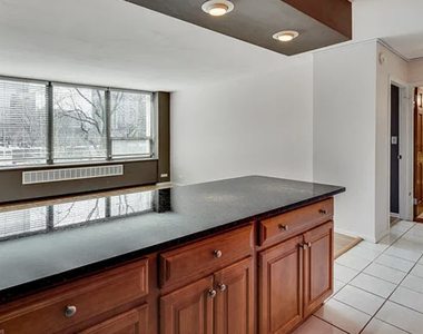 1360 N Sandburg Terrace - Photo Thumbnail 4