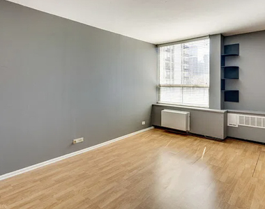1360 N Sandburg Terrace - Photo Thumbnail 9