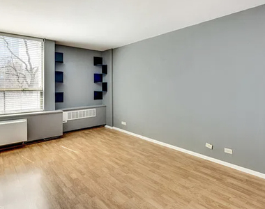 1360 N Sandburg Terrace - Photo Thumbnail 8