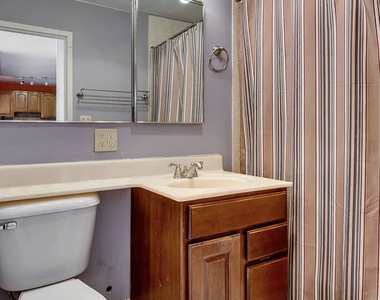 1360 N Sandburg Terrace - Photo Thumbnail 11