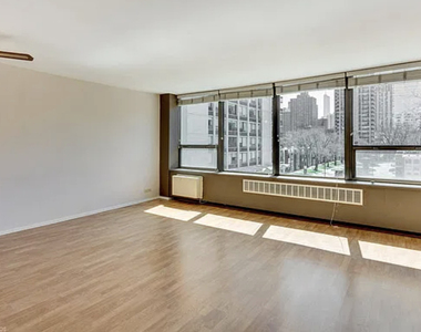 1360 N Sandburg Terrace - Photo Thumbnail 2