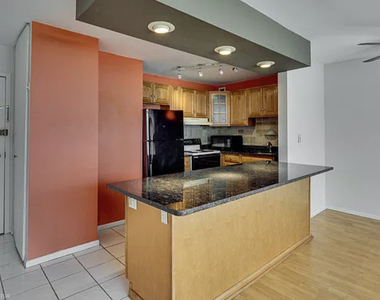 1360 N Sandburg Terrace - Photo Thumbnail 6