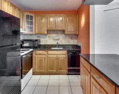 1360 N Sandburg Terrace - Photo Thumbnail 7