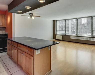 1360 N Sandburg Terrace - Photo Thumbnail 3