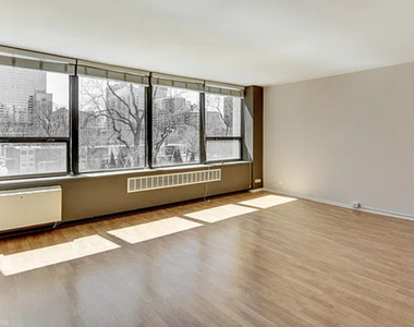 1360 N Sandburg Terrace - Photo Thumbnail 1