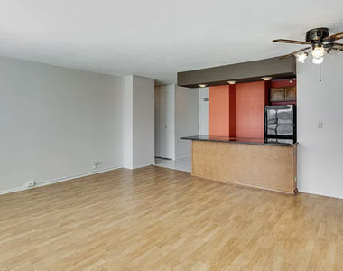 1360 N Sandburg Terrace - Photo Thumbnail 5
