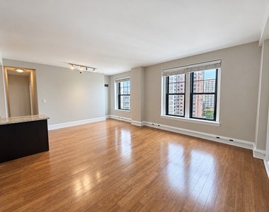 3170 N Sheridan Road - Photo Thumbnail 6