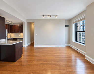 3170 N Sheridan Road - Photo Thumbnail 9