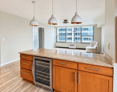 3600 N Lake Shore Drive - Photo Thumbnail 9