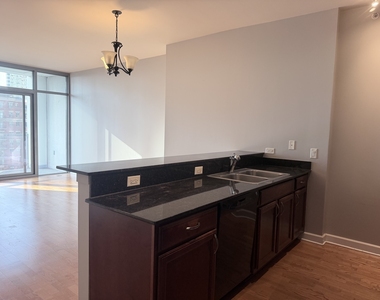 1235 S Prairie Avenue - Photo Thumbnail 5