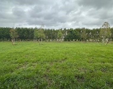 16632 Elkhorn Coral Drive - Photo Thumbnail 19
