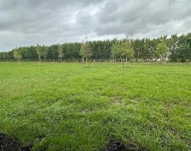 16632 Elkhorn Coral Drive - Photo Thumbnail 20