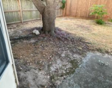 12327 White River Drive - Photo Thumbnail 32