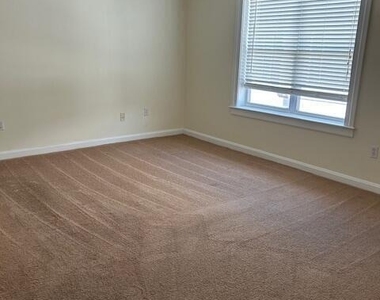 488 Bedford Street - Photo Thumbnail 19
