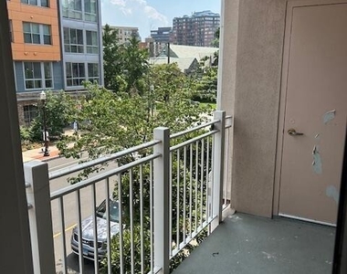 488 Bedford Street - Photo Thumbnail 21