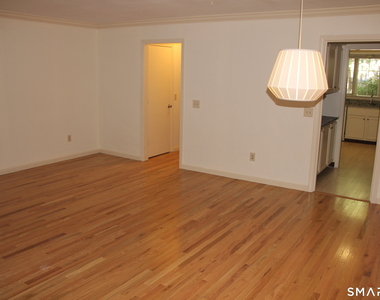 45 Tunxis Village - Photo Thumbnail 10