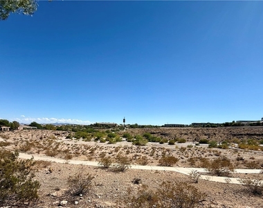 10529 India Hawthorn Avenue - Photo Thumbnail 43