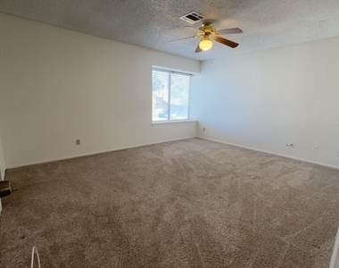 141 Colbath Street - Photo Thumbnail 13