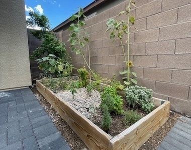 3493 Argiento Avenue - Photo Thumbnail 12