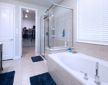 2541 Canary Grass Lane - Photo Thumbnail 14