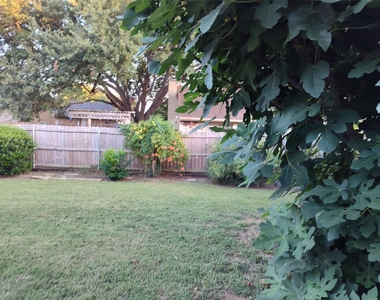 121 Canterbury Street - Photo Thumbnail 23