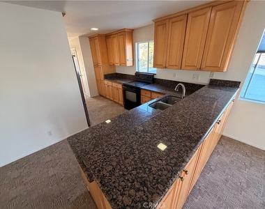 34081 Ruby Lantern Street - Photo Thumbnail 6