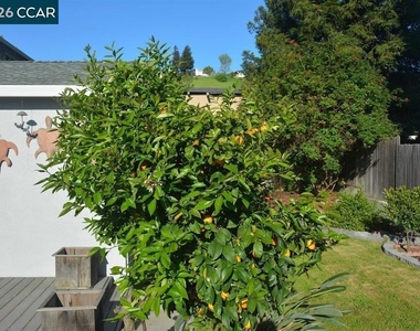 3320 Blythe Dr - Photo Thumbnail 11