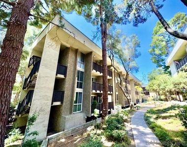 6202 Friars Rd - Photo Thumbnail 13