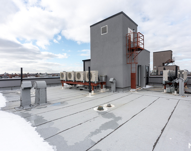 1629 Brooklyn Ave 11210 - Photo Thumbnail 2