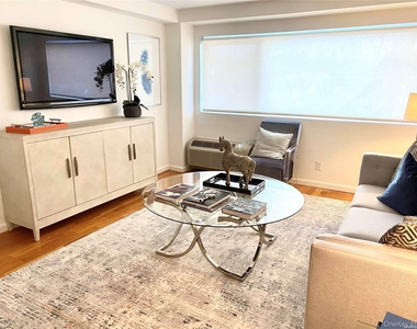 88 Cuttermill Road Road - Photo Thumbnail 3