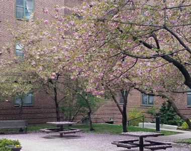 34-21 78th Street - Photo Thumbnail 8