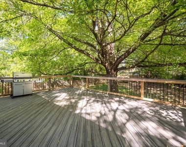 1317 Macbeth Street - Photo Thumbnail 12