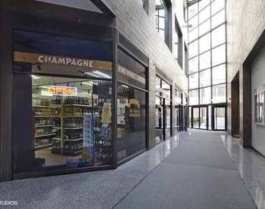 405 N Wabash Avenue - Photo Thumbnail 22