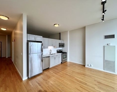 1720 S Michigan Avenue - Photo Thumbnail 2