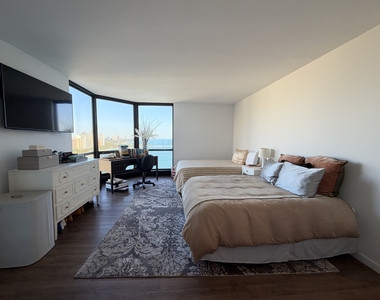 990 N Lake Shore Drive - Photo Thumbnail 17