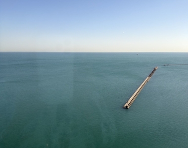 990 N Lake Shore Drive - Photo Thumbnail 7