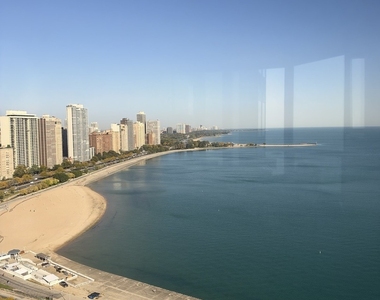 990 N Lake Shore Drive - Photo Thumbnail 6