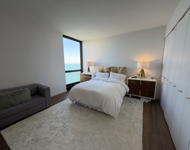 990 N Lake Shore Drive - Photo Thumbnail 13