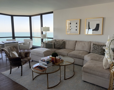 990 N Lake Shore Drive - Photo Thumbnail 5