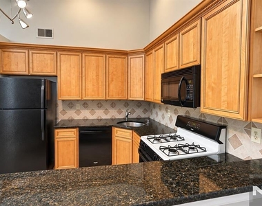 898 Tuliptree - Photo Thumbnail 5