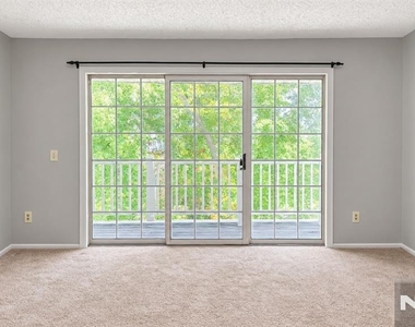 898 Tuliptree - Photo Thumbnail 7
