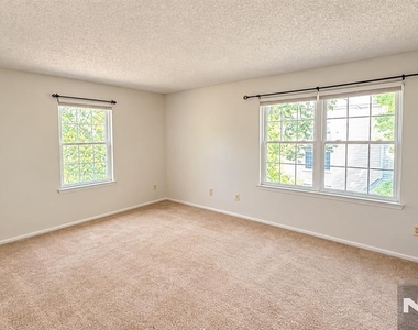 898 Tuliptree - Photo Thumbnail 14