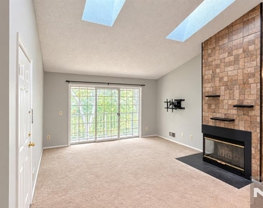 898 Tuliptree - Photo Thumbnail 2