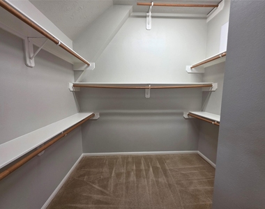 5221 Cottonwood Creek Lane - Photo Thumbnail 13