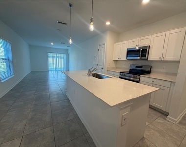 537 Sea Turtle Lane - Photo Thumbnail 3