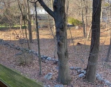 97 Richards Avenue - Photo Thumbnail 9