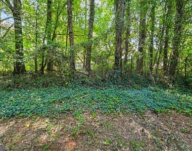 3038 Steeplechase - Photo Thumbnail 39